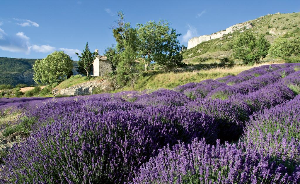 Le Clos De L'Ambre Divajeu Buitenkant foto